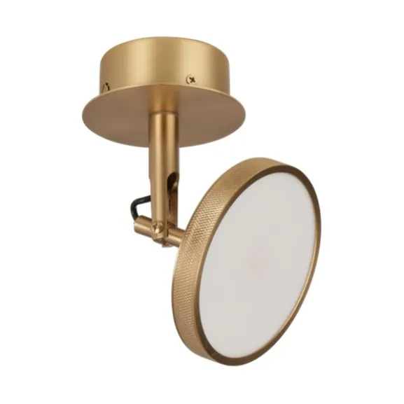 Asteria Spot - Plated Brass