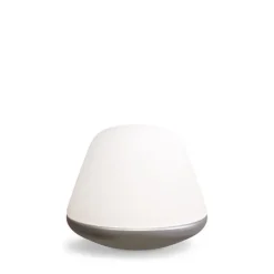 Bloom Small Ø20 satin silver