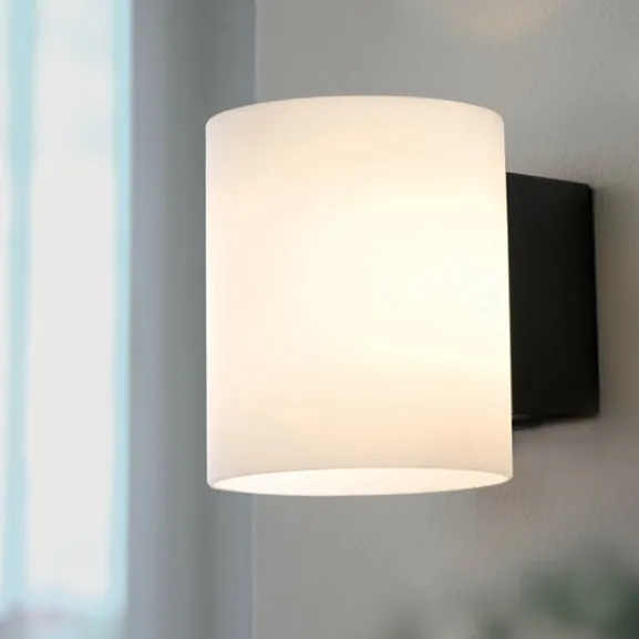Evoke vägglampa S antracit/opal G9