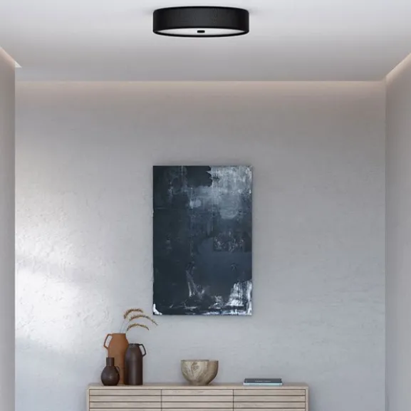 Grain L plafond mattsvart E14
