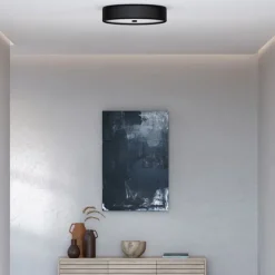 Grain L plafond mattsvart E14