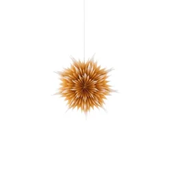 Julstjärna Roxy D50 guld ombre