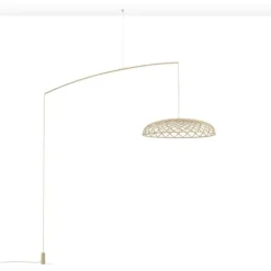 Skynest motion, Almond