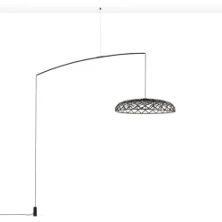 Skynest motion, Anthracite