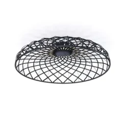 Skynest pendel, Anthracite