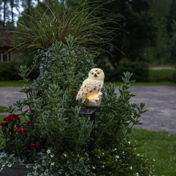 Solcellsdekoration Owl Beige 33cm